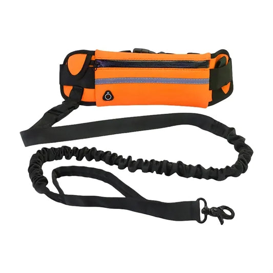 Nylon Hands Free Dog Leash with Pouch
